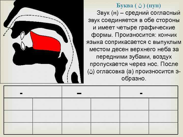 Снег букв звуков. Правильное произношение арабских букв. Артикуляция арабских букв. Места выхода арабских букв.