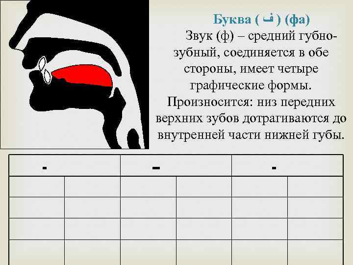 Выход букв. Правильное произношение арабских букв. Место образования звуков в арабском языке. Схема произношения арабских букв. Артикуляция арабских букв.