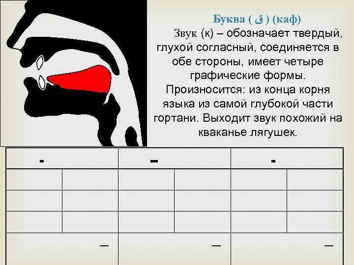 Буква ( ( ) ﻕ каф) Звук (к) – обозначает твердый, глухой согласный, соединяется