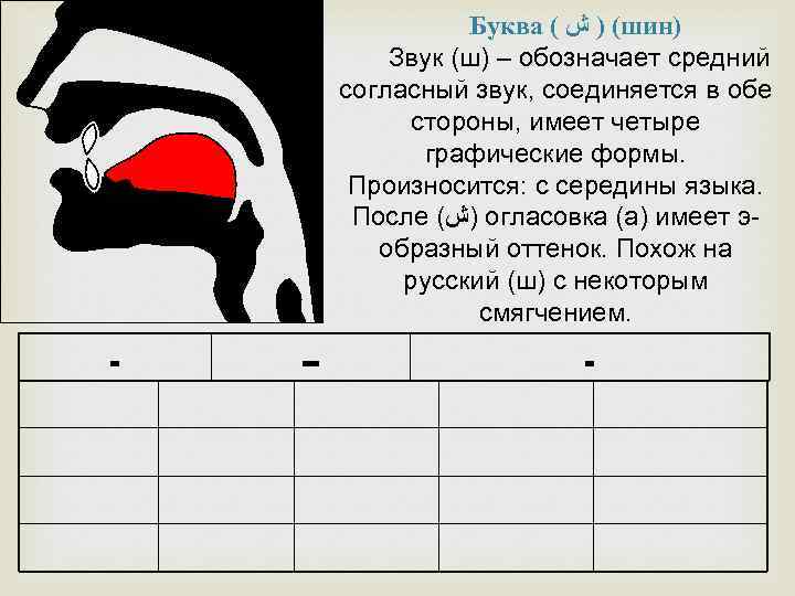 Буква ( ( ) ﺵ шин) Звук (ш) – обозначает средний согласный звук, соединяется