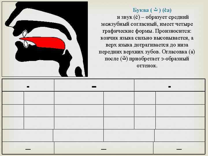 Произнесенная буква 4 буквы. Правильное произношение арабских букв. Места произношения арабских букв. Артикуляция арабских букв. Межзубные буквы в арабском языке.