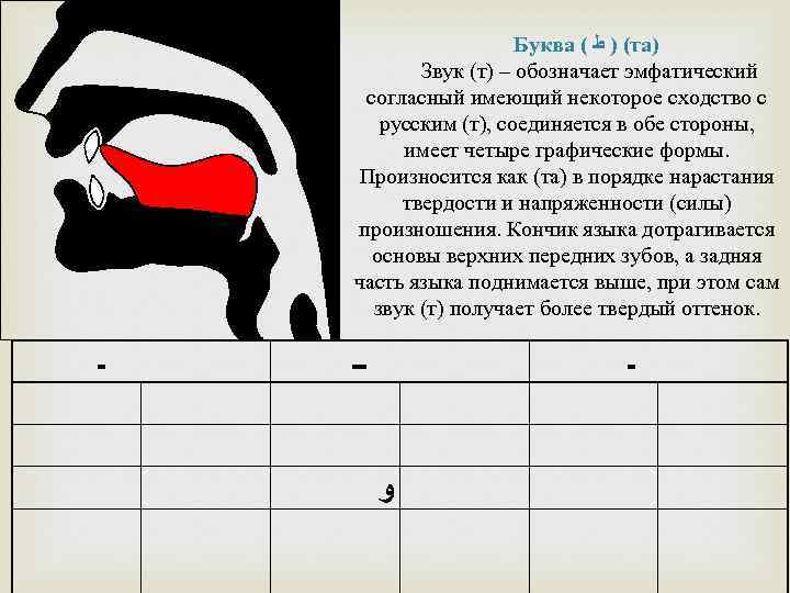 Буква ( ( ) ﻁ та) Звук (т) – обозначает эмфатический согласный имеющий некоторое