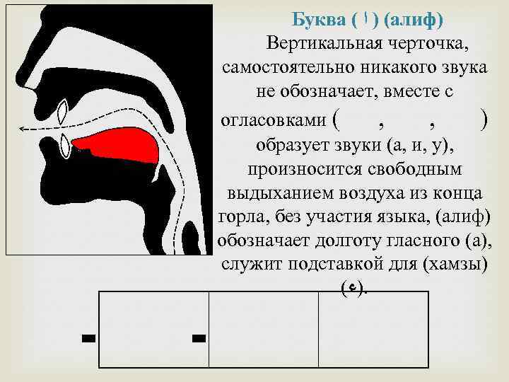 Буква ( ( ) ﺍ алиф) Вертикальная черточка, самостоятельно никакого звука не обозначает, вместе