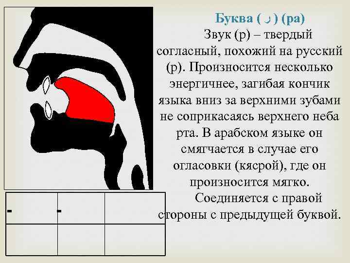  ـ ـ Буква ( ( ) ﺭ ра) Звук (р) – твердый согласный,