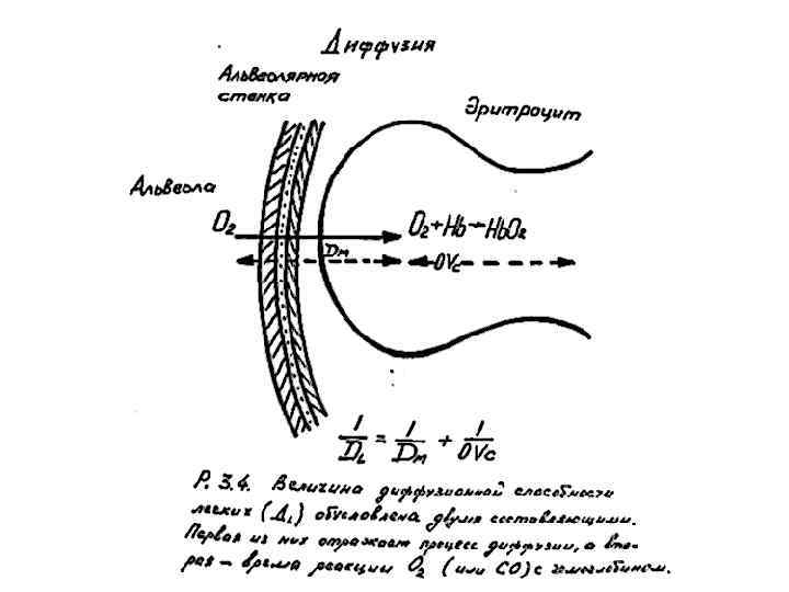 в 