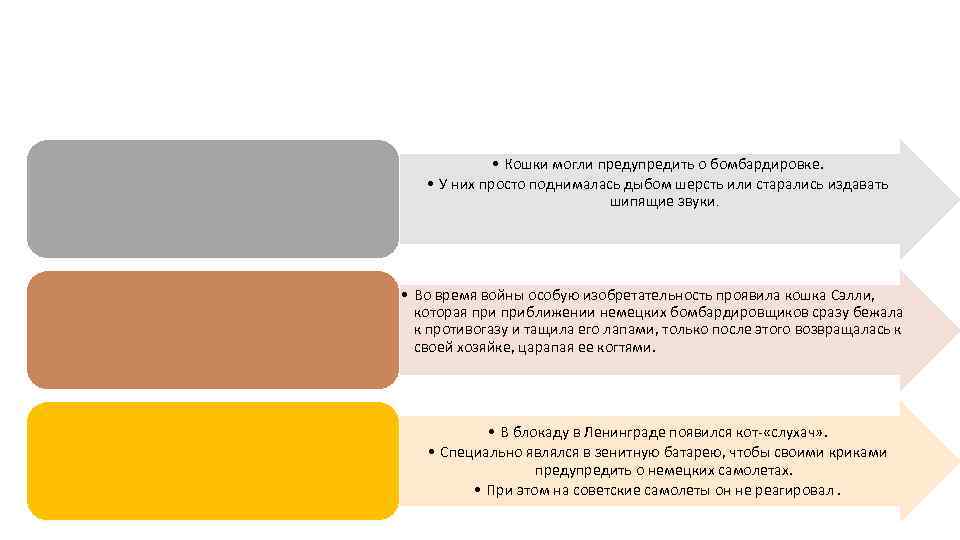  • Кошки могли предупредить о бомбардировке. • У них просто поднималась дыбом шерсть
