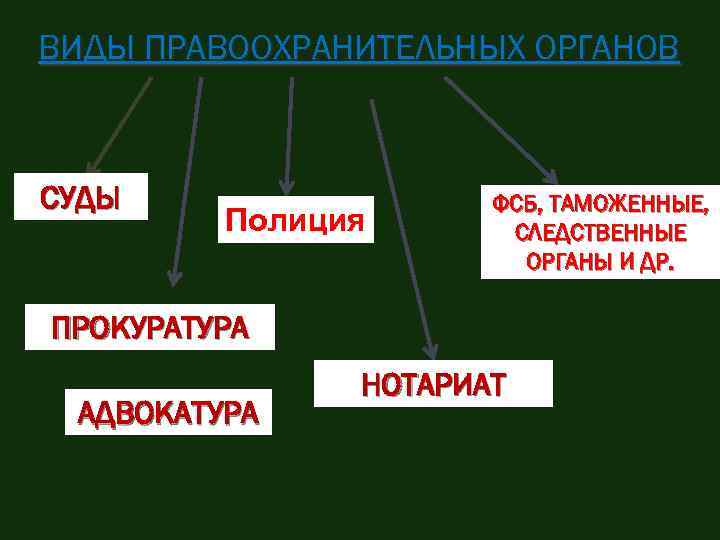 ВИДЫ ПРАВООХРАНИТЕЛЬНЫХ ОРГАНОВ СУДЫ Полиция ФСБ, ТАМОЖЕННЫЕ, СЛЕДСТВЕННЫЕ ОРГАНЫ И ДР. ПРОКУРАТУРА АДВОКАТУРА НОТАРИАТ