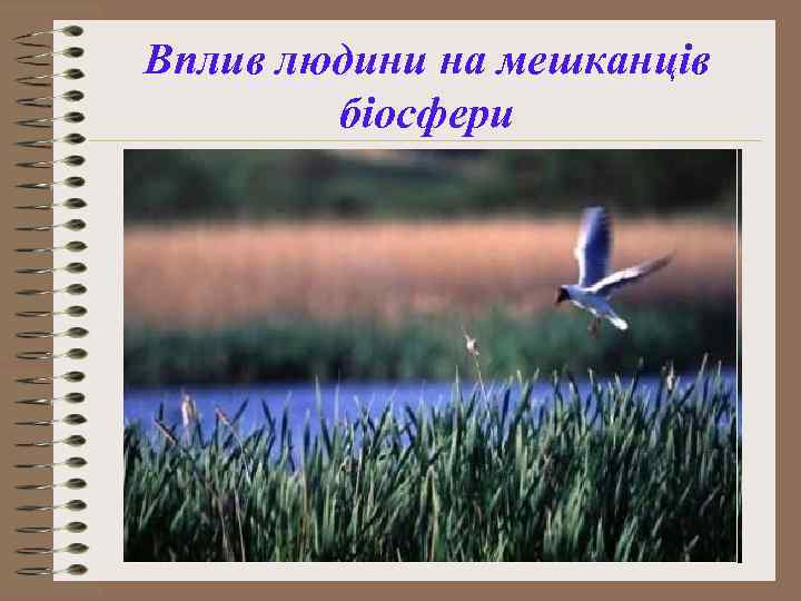 Вплив людини на мешканців біосфери 