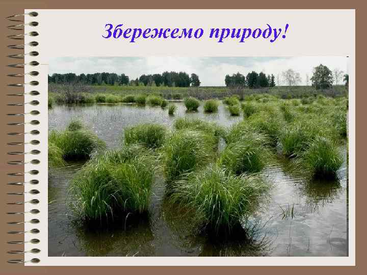 Збережемо природу! 