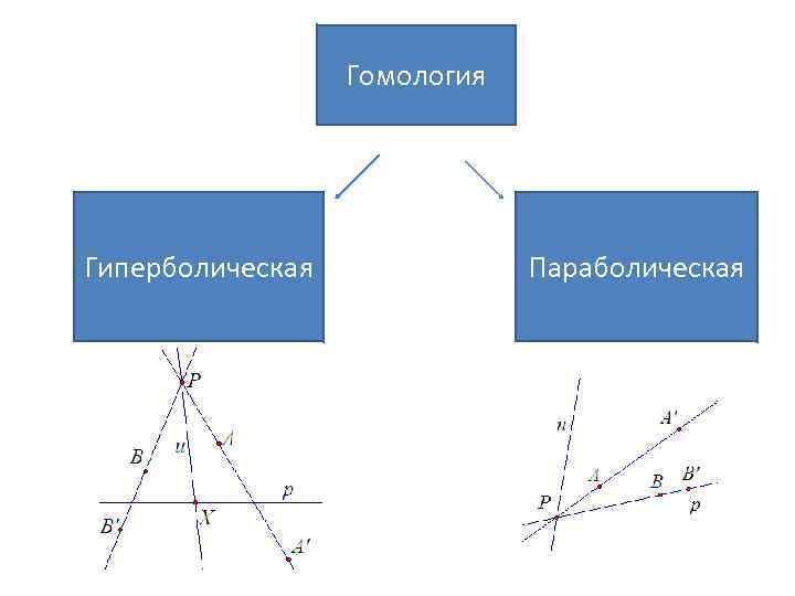 Гомология Гиперболическая Параболическая 