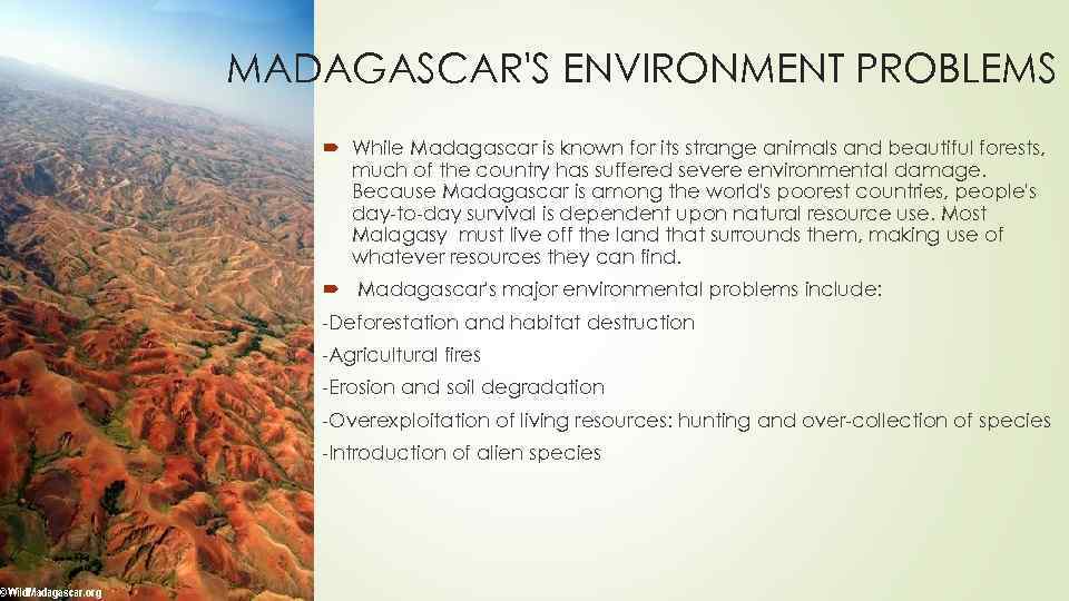 MADAGASCAR'S ENVIRONMENT PROBLEMS While Madagascar is known for its strange animals and beautiful forests,