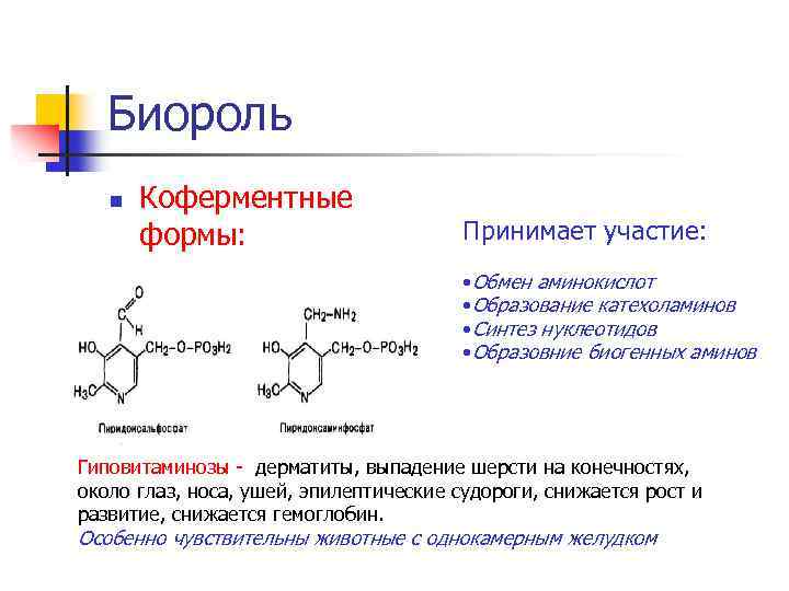 Обмен витаминов биохимия. Синтез катехоламинов витамины. Витамин h коферментная форма. Функции катехоламинов биохимия. Лактон биороль.