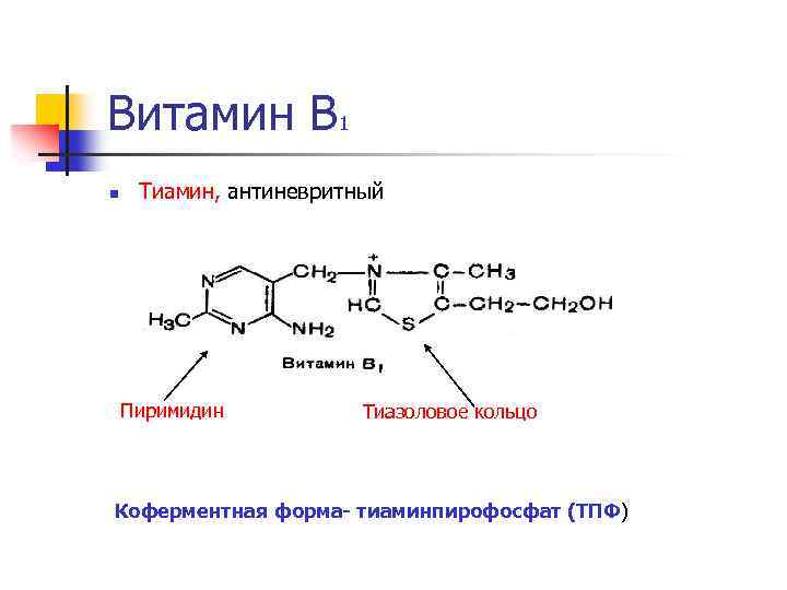 Обмен витаминов биохимия. Коферментные формы витаминов это биохимия. Витамин б1 кофермент. Витамин b1 структура. Коферментная форма витамина в1.