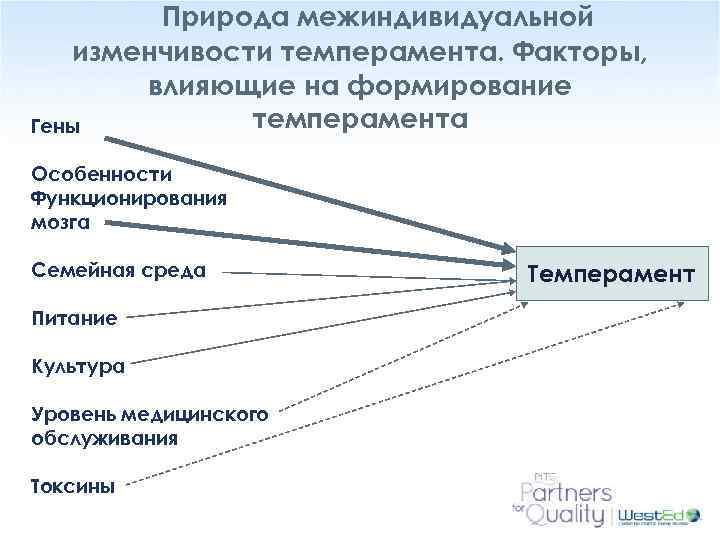 Природа межиндивидуальной изменчивости темперамента. Факторы, влияющие на формирование темперамента Гены Особенности Функционирования мозга Семейная