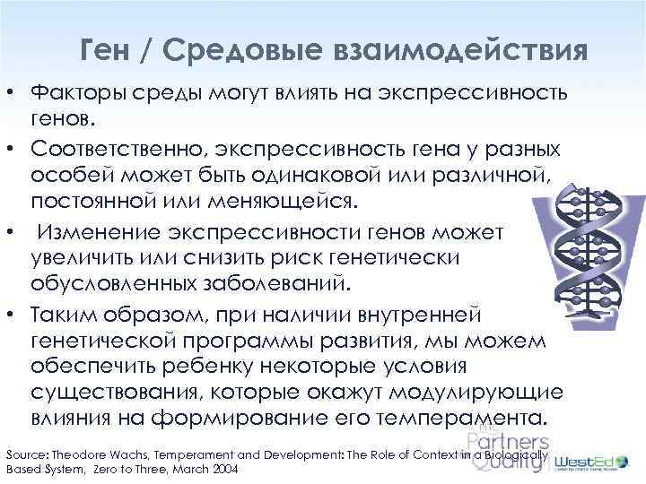 Ген / Средовые взаимодействия • Факторы среды могут влиять на экспрессивность генов. • Соответственно,