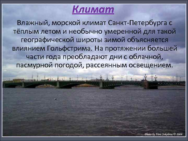 Проблемы города санкт петербурга