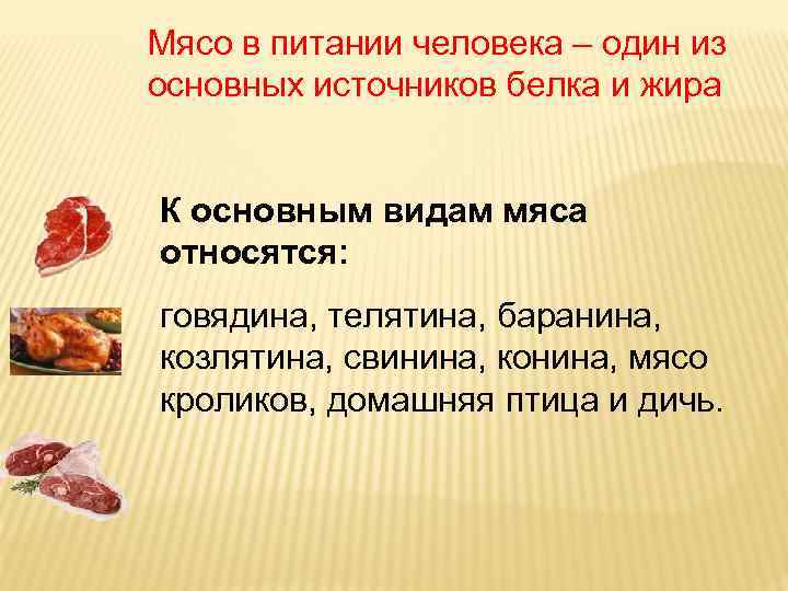 Мясо в питании человека – один из основных источников белка и жира К основным