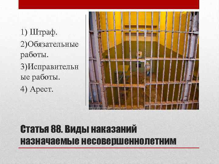 1) Штраф. 2)Обязательные работы. 3)Исправительн ые работы. 4) Арест. Статья 88. Виды наказаний назначаемые