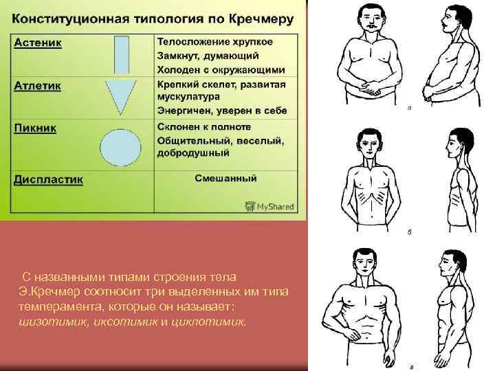 Схемы конституциональной диагностики галанта