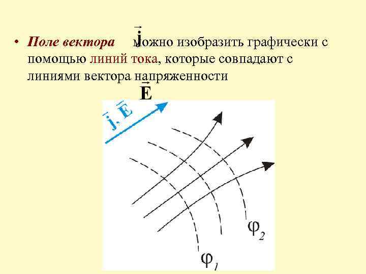  • Поле вектора можно изобразить графически с помощью линий тока, которые совпадают с