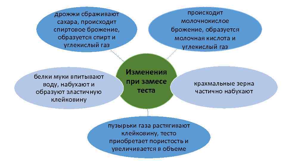 происходит молочнокислое брожение, образуется молочная кислота и углекислый газ дрожжи сбраживают сахара, происходит спиртовое