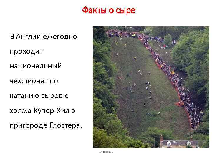Факты о сыре В Англии ежегодно проходит национальный чемпионат по катанию сыров с холма