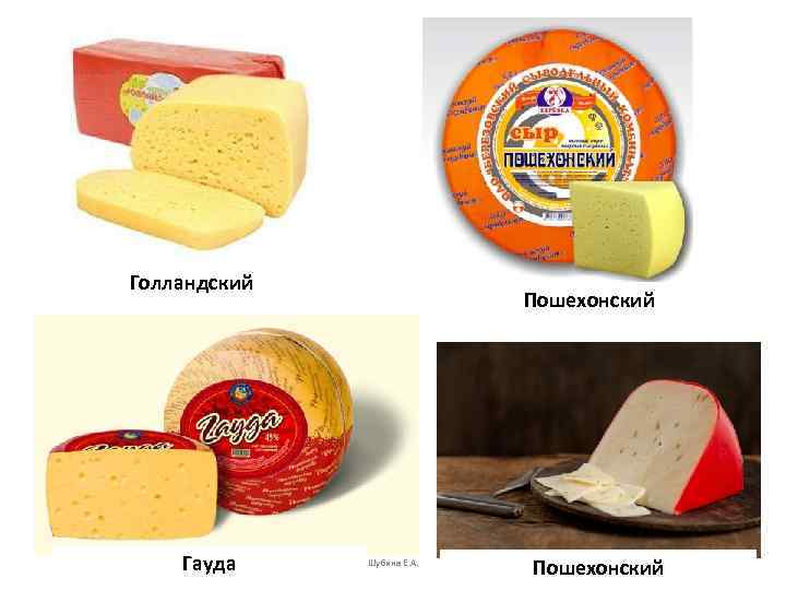 Голландский Гауда Пошехонский Шубина Е. А. Пошехонский 