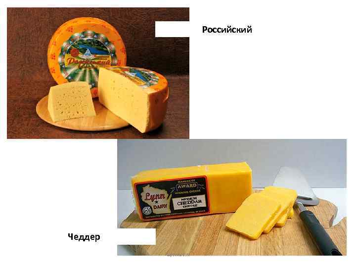 Российский Чеддер Шубина Е. А. 