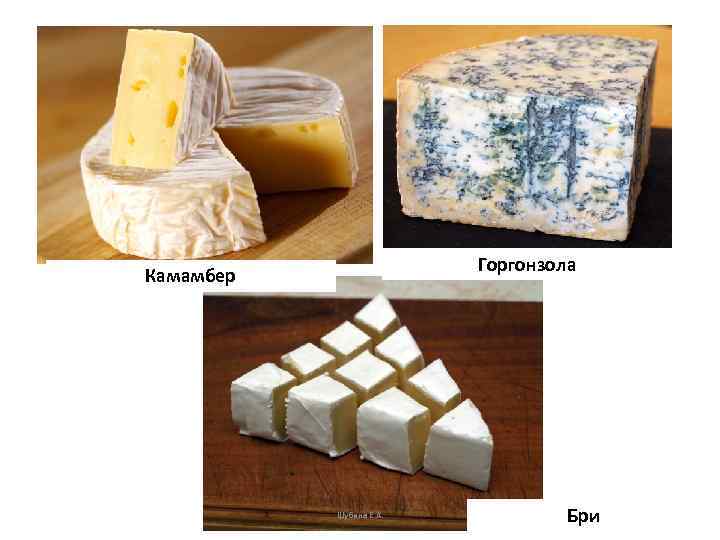 Горгонзола Камамбер Шубина Е. А. Бри 
