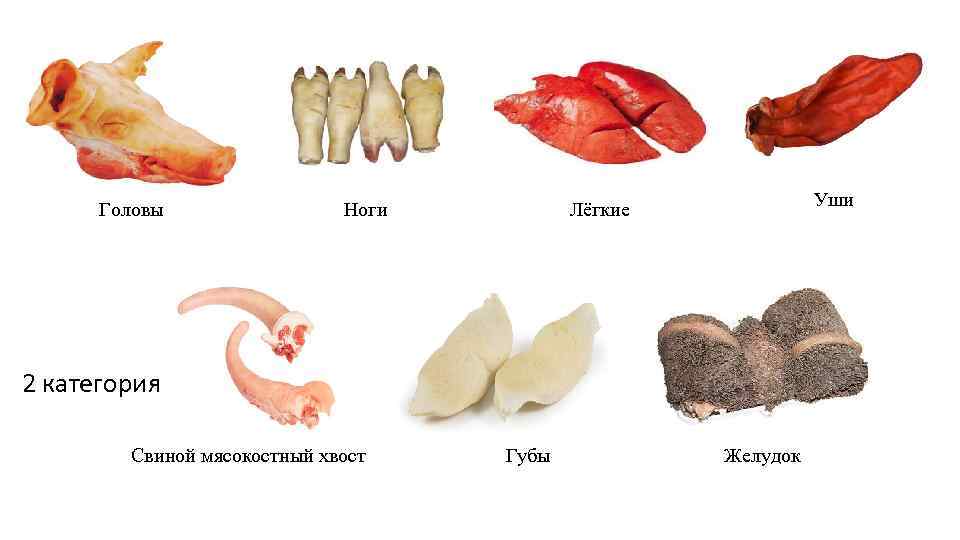 Головы Ноги Уши Лёгкие 2 категория Свиной мясокостный хвост Губы Желудок 