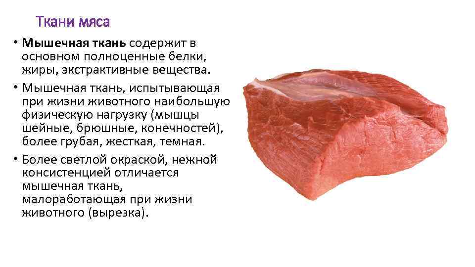 Ткани мяса • Мышечная ткань содержит в основном полноценные белки, жиры, экстрактивные вещества. •