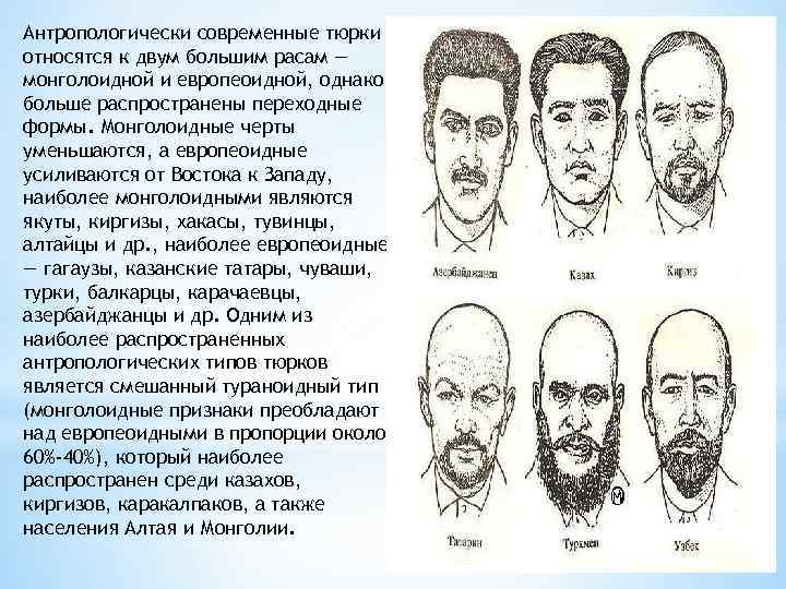 Антропологически современные тюрки относятся к двум большим расам — монголоидной и европеоидной, однако больше
