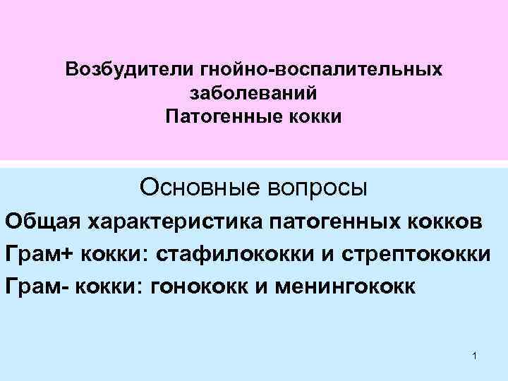 Возбудители гнойно-воспалительных заболеваний Патогенные кокки Основные вопросы Общая характеристика патогенных кокков Грам+ кокки: стафилококки