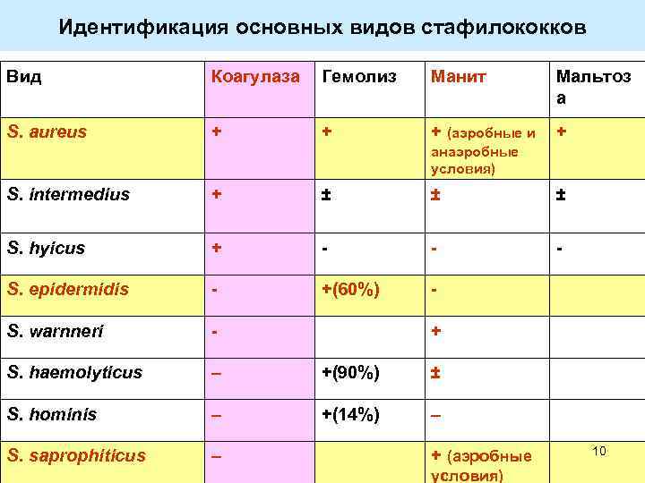 Идентификация основных видов стафилококков Вид Коагулаза Гемолиз Манит Мальтоз а S. aureus + +