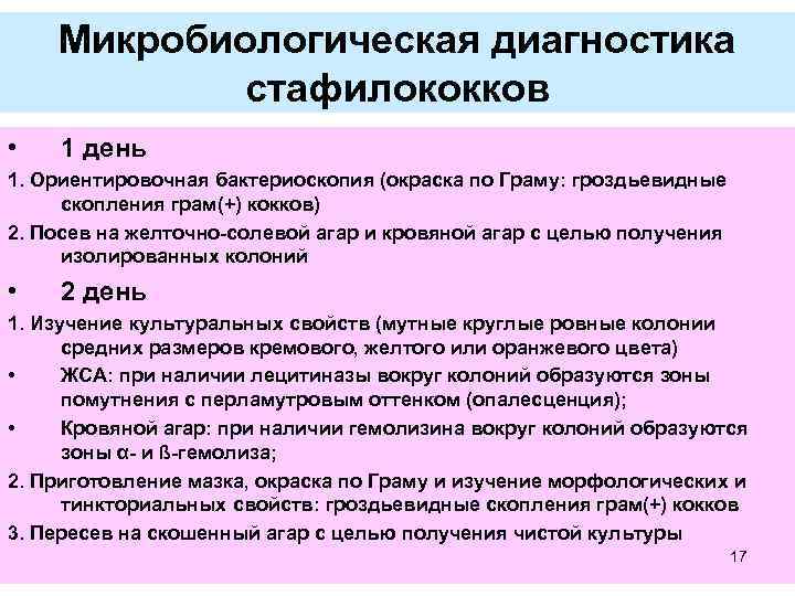 Микробиологическая диагностика стафилококков • 1 день 1. Ориентировочная бактериоскопия (окраска по Граму: гроздьевидные скопления