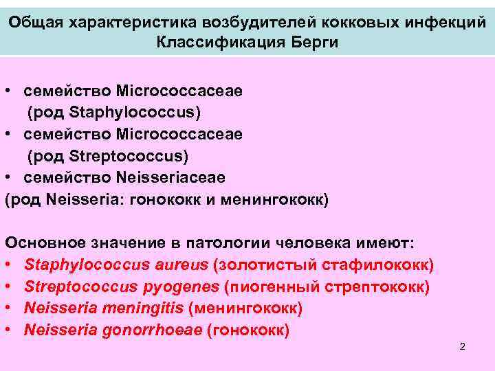 Общая характеристика возбудителей кокковых инфекций Классификация Берги • семейство Micrococcaceae (род Staphylococcus) • семейство