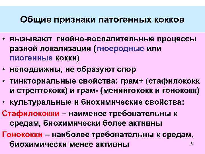 Общие признаки патогенных кокков • вызывают гнойно-воспалительные процессы разной локализации (гноеродные или пиогенные кокки)