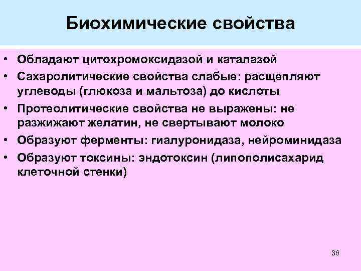 Биохимические свойства • Обладают цитохромоксидазой и каталазой • Сахаролитические свойства слабые: расщепляют углеводы (глюкоза