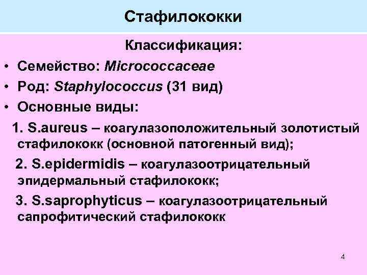 Стафилококки Классификация: • Семейство: Micrococcaceae • Род: Staphylococcus (31 вид) • Основные виды: 1.