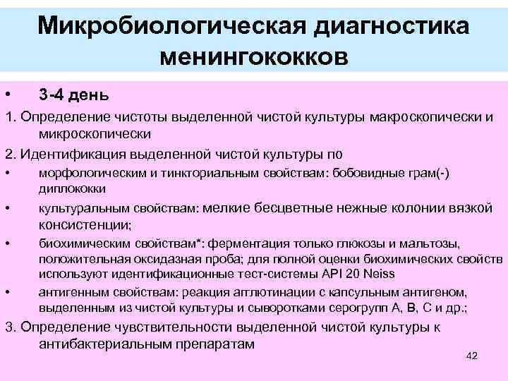 Микробиологическая диагностика менингококков • 3 -4 день 1. Определение чистоты выделенной чистой культуры макроскопически