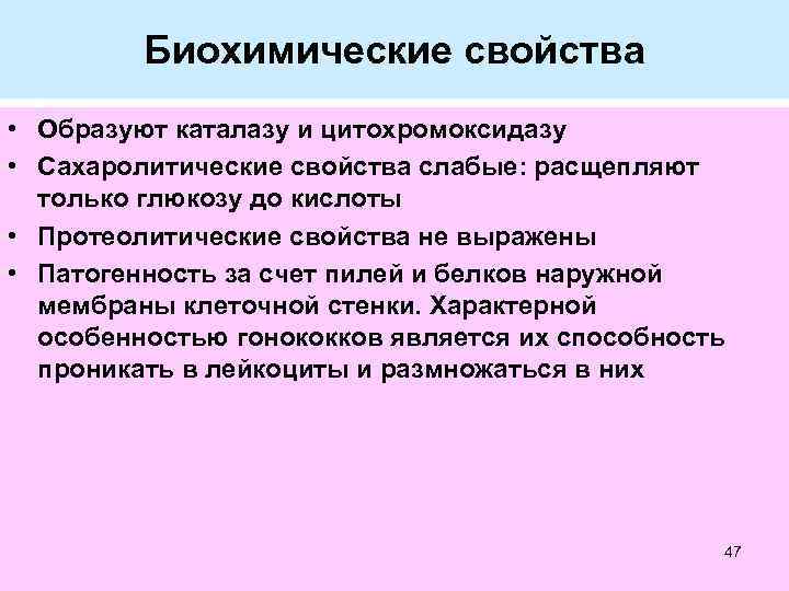 Биохимические свойства • Образуют каталазу и цитохромоксидазу • Сахаролитические свойства слабые: расщепляют только глюкозу