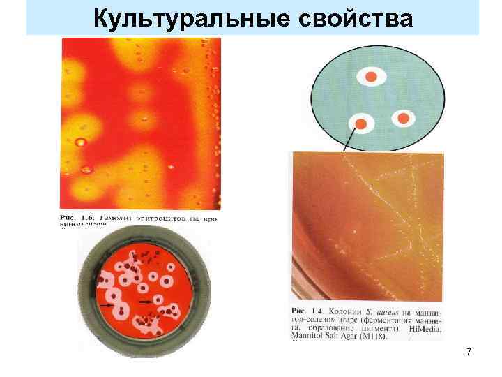 Культуральные свойства 7 