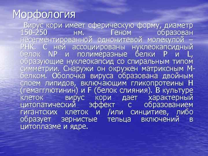 Морфология Вирус кори имеет сферическую форму, диаметр 150 -250 нм. Геном образован несегментированной однонитевой