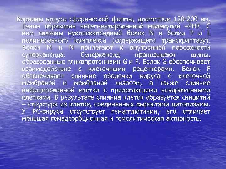 Вирионы вируса сферической формы, диаметром 120 -200 нм. Геном образован несегментированной молекулой –РНК. С