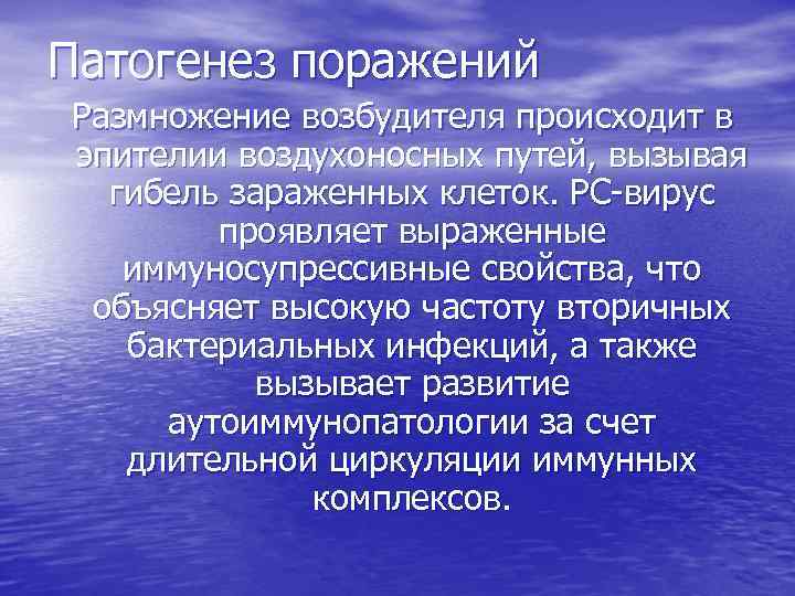 Патогенез поражений Размножение возбудителя происходит в эпителии воздухоносных путей, вызывая гибель зараженных клеток. РС-вирус