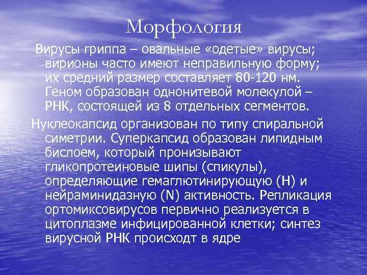 Морфология Вирусы гриппа – овальные «одетые» вирусы; вирионы часто имеют неправильную форму; их средний