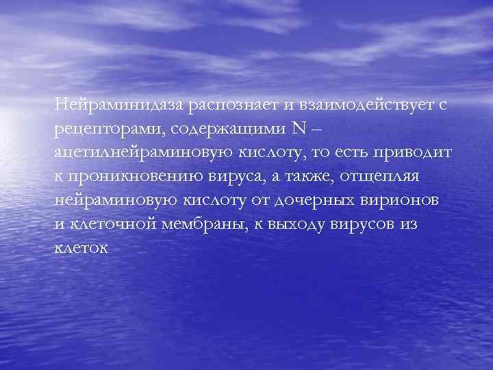 Нейраминидаза распознает и взаимодействует с рецепторами, содержащими N – ацетилнейраминовую кислоту, то есть приводит