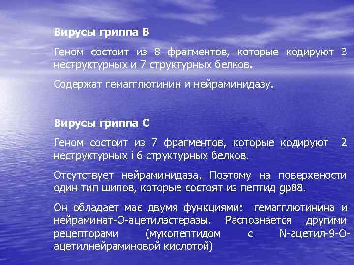 Вирусы гриппа В Геном состоит из 8 фрагментов, которые кодируют 3 неструктурных и 7