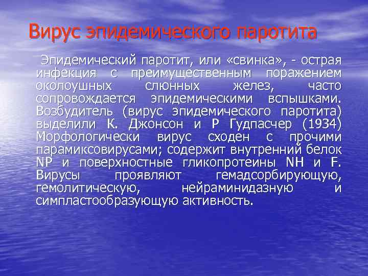 Вирус эпидемического паротита Эпидемический паротит, или «свинка» , - острая инфекция с преимущественным поражением