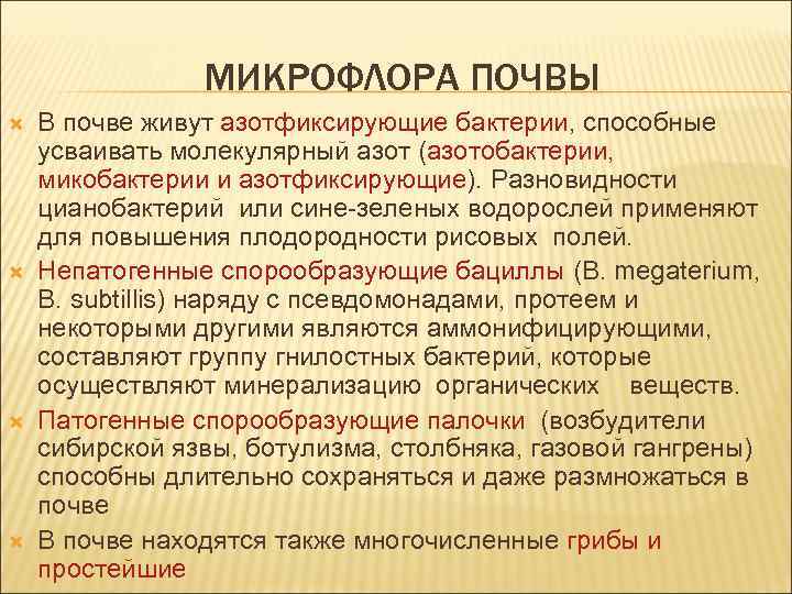 МИКРОФЛОРА ПОЧВЫ В почве живут азотфиксирующие бактерии, способные усваивать молекулярный азот (азотобактерии, микобактерии и